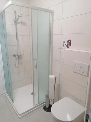 a white bathroom with a shower and a toilet at APARTMAJI VALTER in Srpenica