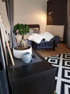 a room with a table with a potted plant on it at A place to relax in Ljubljana