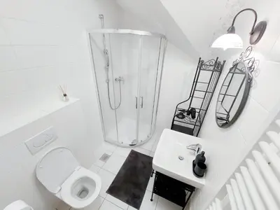 a bathroom with a shower and a toilet and a sink at Centrally located, with castle view and 2 parkings in Bled