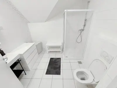 a white bathroom with a shower and a toilet at Centrally located, with castle view and 2 parkings in Bled