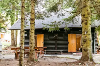 a log cabin with a picnic bench in front of it at Chalet Liza & Rozi in Zgornja Ložnica