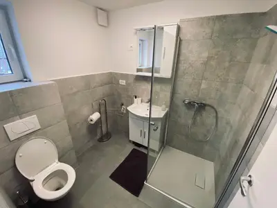 a bathroom with a shower and a toilet and a sink at Gogalova Apartments in Ljubljana