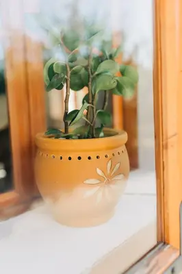 a plant in a pot sitting on a window sill at Štekner house Apartma in Ljubno