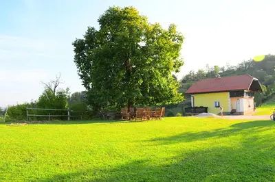 a tree in the middle of a field with a house at Eko Pony Ranch Ogrizek in Podčetrtek