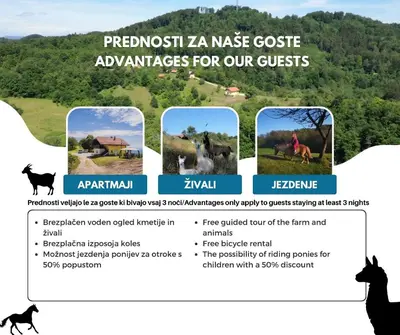 a page of a brochure for a nassisse course with illustrations of animals at Eko Pony Ranch Ogrizek in Podčetrtek