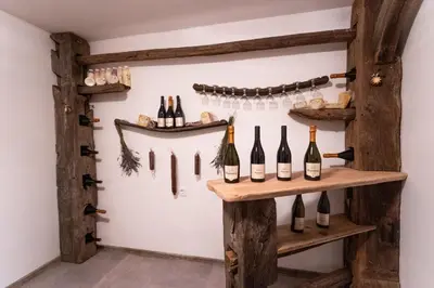 a wine cellar with bottles of wine on shelves at Vineyard cottage Sonce in Šentvid pri Stični