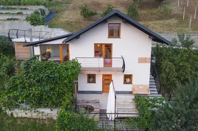 a house on a hill with vines at Vineyard cottage Sonce in Šentvid pri Stični