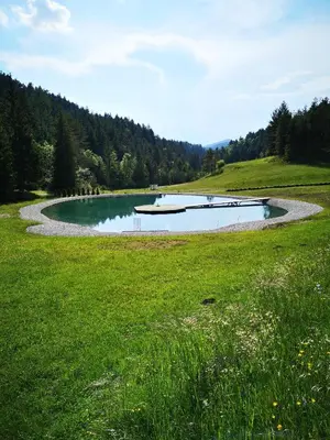 a small lake with a boat in the middle of a field at Valle Divina in Mislinja