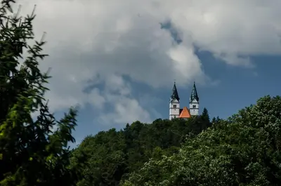 a castle on top of a hill with trees at Villa СARPE DIEM in Laško
