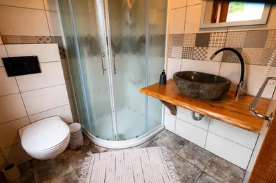 a bathroom with a sink and a shower and a toilet at Turistična kmetija Grabnar in Bled