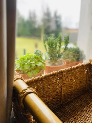 two potted plants sitting on a window sill at Rooms & Apartment ZALA Near Airport & Cable Car in Cerklje na Gorenjskem