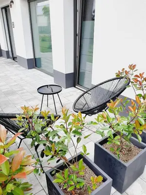a patio with a black chair and some plants at Green Bee Apartment in Lesce