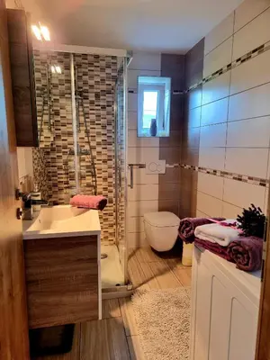 a bathroom with a shower and a sink and a toilet at GARTNAR HOME -Hiška s pridihom domačnosti in pogledom na hribe. in Radovljica