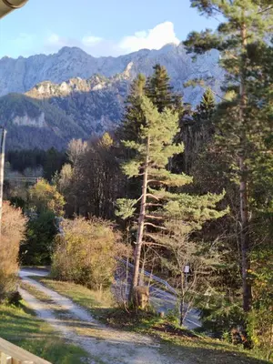 a winding road with trees and mountains in the background at Hiša Jezersko in Zgornje Jezersko