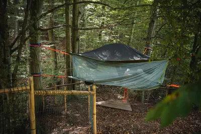 a tent in the middle of a forest at Tents resort Posestvo SONČNI RAJ in Maribor