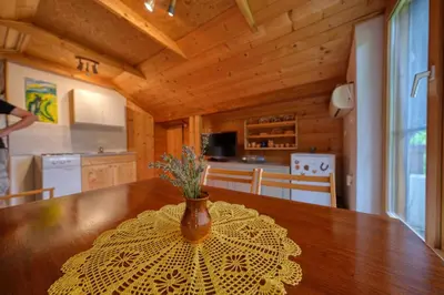 a table with a vase on top of it in a kitchen at Cottage surrounded by forests - The Sunny Hill in Griže