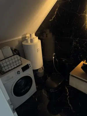 a bathroom with a washing machine and a toilet at NEW GUEST HOUSE 13 in Maribor