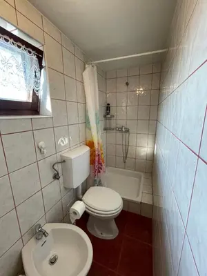 a small bathroom with a toilet and a sink at Cosy country home, Lendava in Lendava