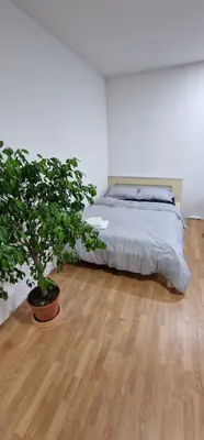 a bedroom with a bed and a potted plant at APARTMAN MURKO P-3 in Brest