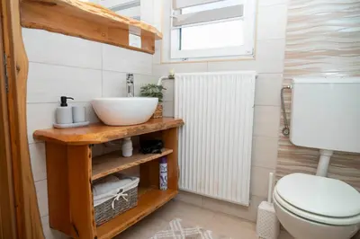 a bathroom with a sink and a toilet at Apartma ''Pri Movernu'' in Semič