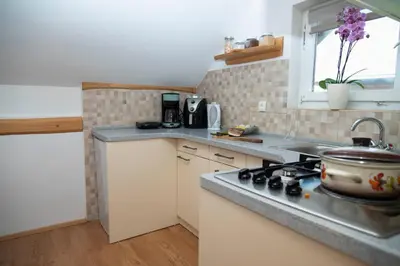 a kitchen with a stove top oven next to a sink at Apartma ''Pri Movernu'' in Semič