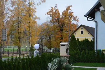 a yard with a house and trees in the background at Apartments Sofija in Bled