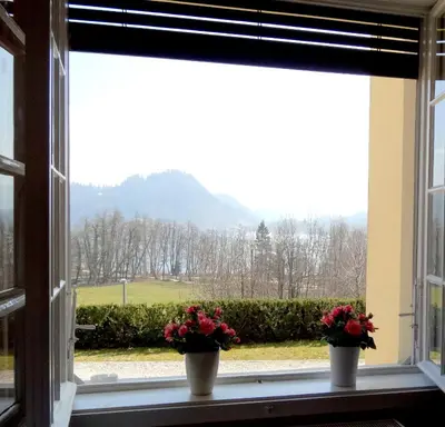 two flowers on a window sill with a view at Villa Elasan in Bled