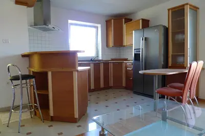 a kitchen with a counter and a refrigerator at Bed and Breakfast Špelca in Pivka