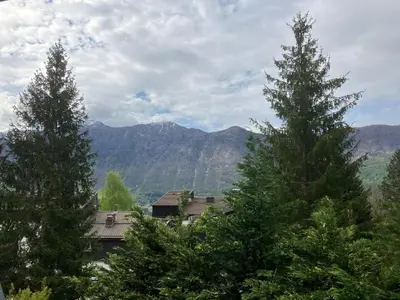 two tall pine trees in front of a mountain at Apartma Manfreda Bovec in Bovec