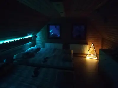 a dark room with a bed and a christmas tree at koča na pikovem in Črna na Koroškem