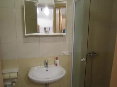 a bathroom with a sink and a mirror at Farmhouse Štiftar in Solčava
