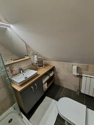a bathroom with a sink and a toilet at Guesthouse Haler in Podčetrtek