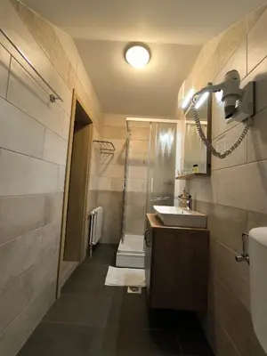 a bathroom with a sink and a shower at Guesthouse Haler in Podčetrtek