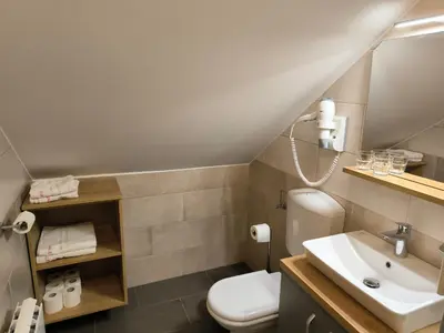 a bathroom with a white toilet and a sink at Guesthouse Haler in Podčetrtek