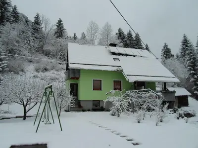 a green house with snow on the roof at Apartment Žvan in Bohinj
