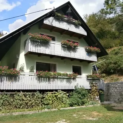Apartment Žvan