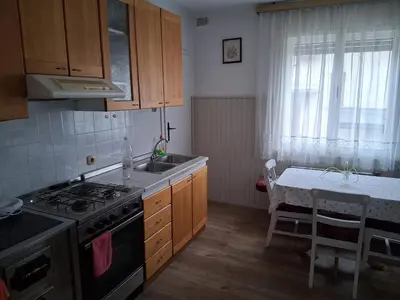 a kitchen with a stove and a sink and a table at Rooms Apartma Cerknica in Cerknica