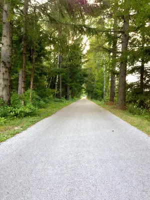 an empty road in the middle of a forest at Apartment Brina in Kranjska Gora