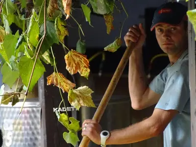 a man holding a baseball bat next to a tree at Farm Stay Frank Ozmec Wine and Glamping estate in Ljutomer