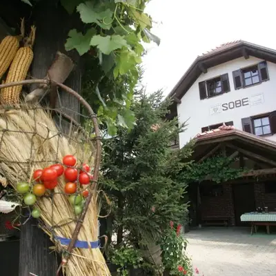 Farm Stay Frank Ozmec Wine and Glamping estate