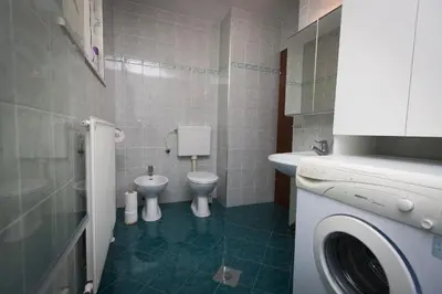 a bathroom with a washing machine and a toilet at Home with views on Alps in Bohinj