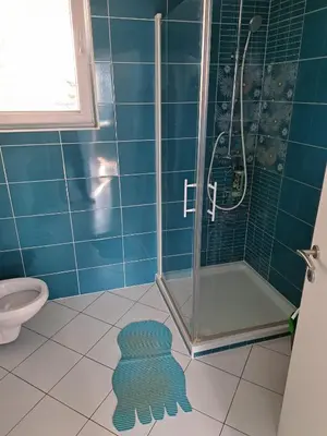 a blue tiled bathroom with a shower and a rug at Apartma Jaka in Ljubljana