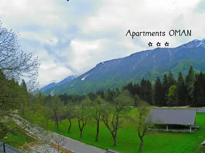 a view of a mountain range with the words apartments om istg at Apartments Oman in Kranjska Gora