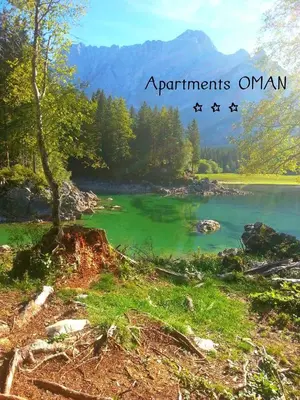 a group of four airplanes flying over a lake at Apartments Oman in Kranjska Gora