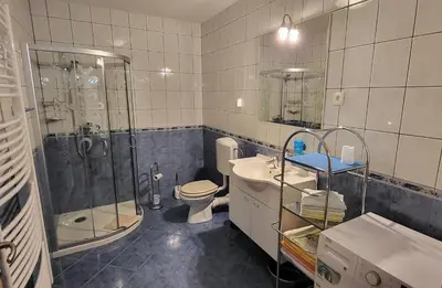 a bathroom with a shower and a toilet and a sink at Apartments Oman in Kranjska Gora