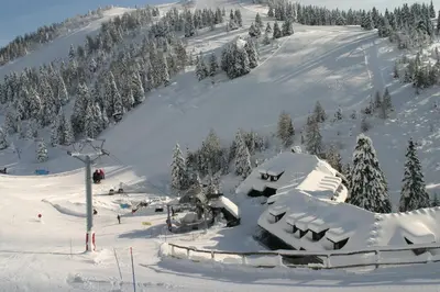 a snow covered mountain with a ski slope with trees at M & M apartment Krvavec in Cerklje na Gorenjskem
