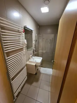 a bathroom with a sink and a shower and a mirror at Villa Mari - apartma št. 6 in Maribor