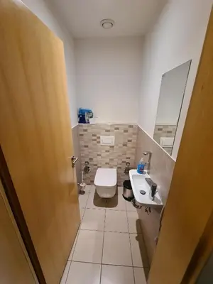 a bathroom with a toilet and a sink at Villa Mari - apartma št. 6 in Maribor