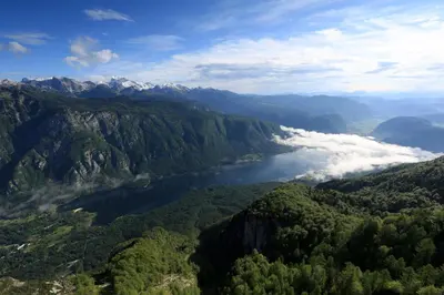 an aerial view of a river in a mountain valley at Bohinj, Metka - vacation house Pri Metki in Bohinj