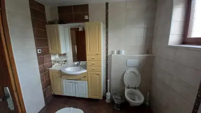 a small bathroom with a toilet and a sink at Draga - 2 bedroom apartment in Tržič